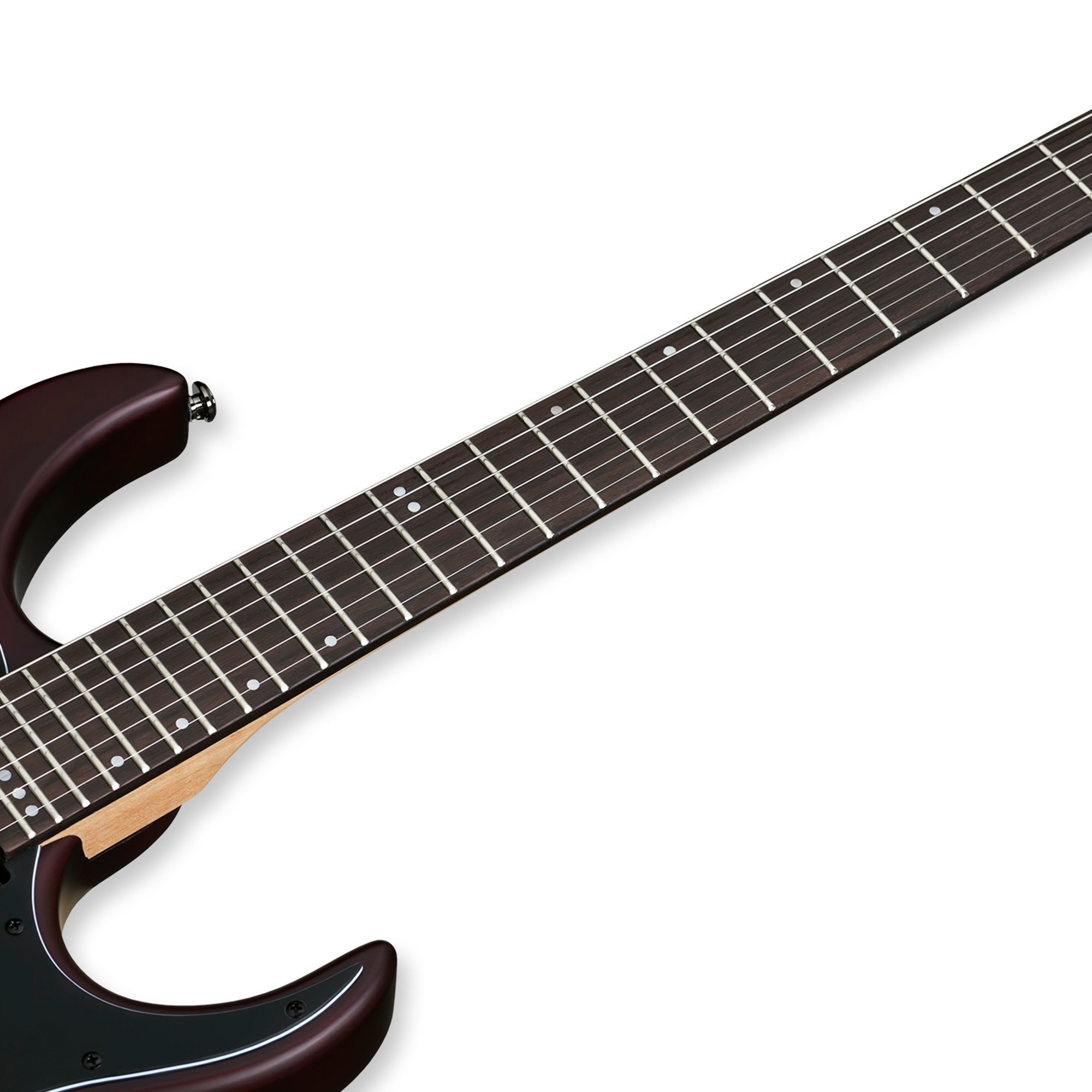 SGR by Schecter Banshee-6 Walnut Satin Guitarra Eléctrica