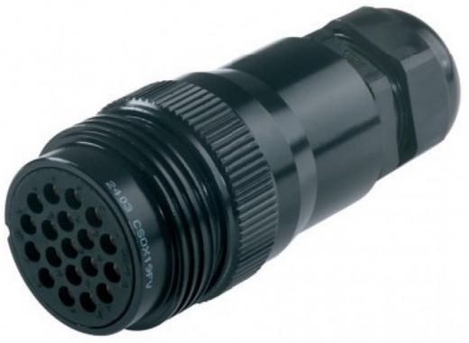 Proel Conector de Alimentación Multipin Hembra