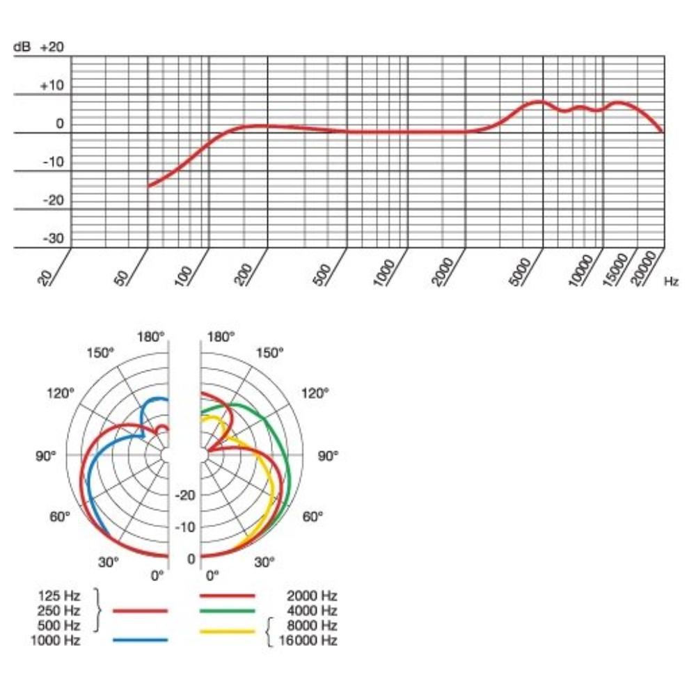 AKG D880M Micrófono Dinámico Vocal con Switch On/Off