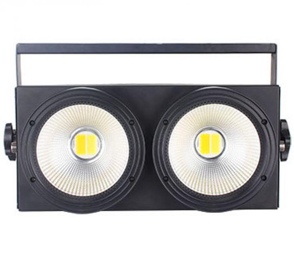 Eastman IGNITEBLINDER2 Blinder 2x100W