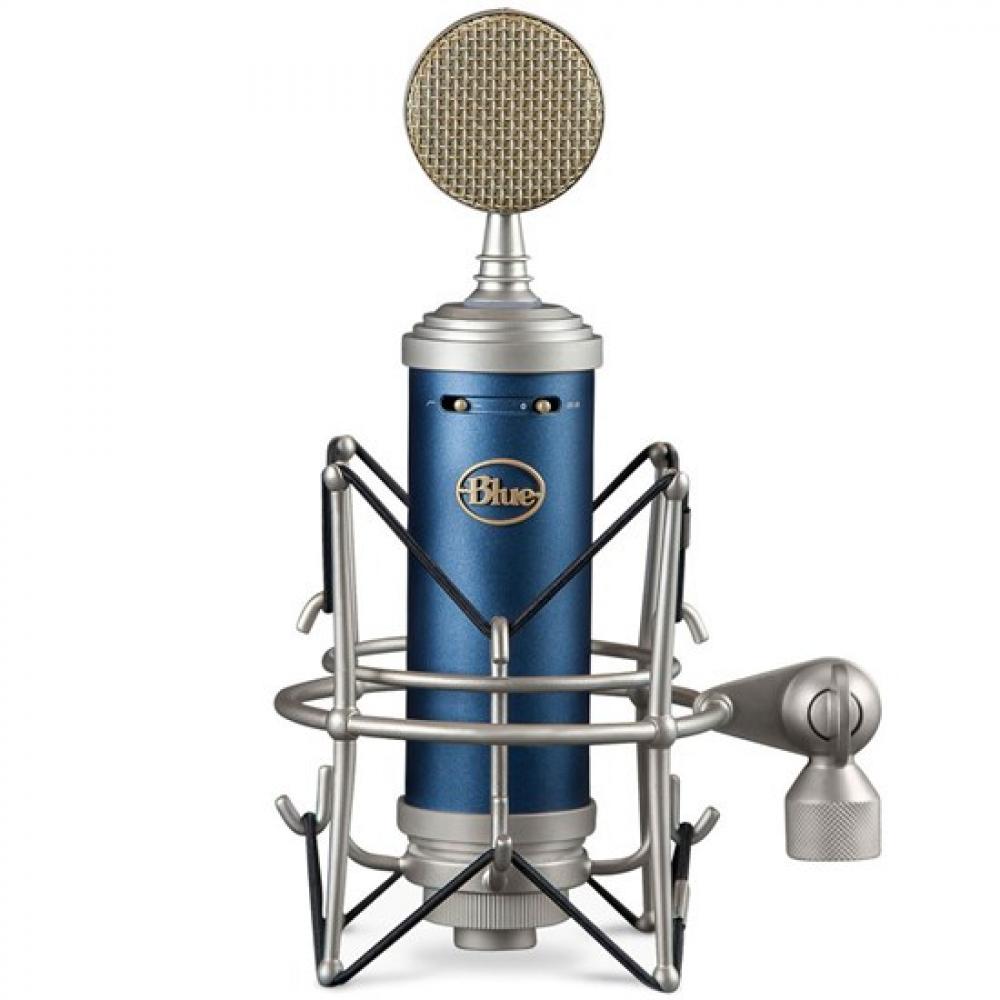 Blue Microphones Bluebird SL Micrófono Condensador -