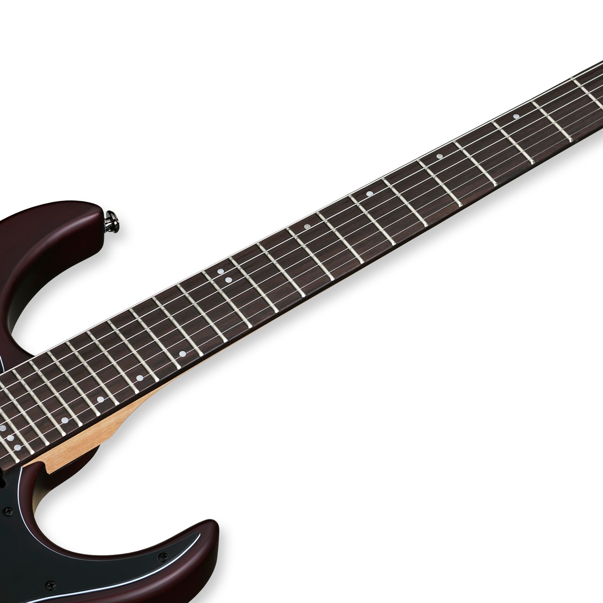 SGR by Schecter Banshee-6 Walnut Satin Guitarra Eléctrica 6 cuerdas