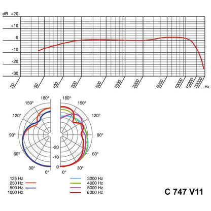 AKG C747V11 Micrófono Condensador Shotgun