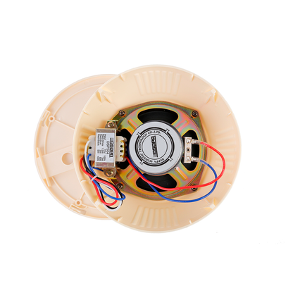 DSPPA Parlante de Cielo de 4.5"