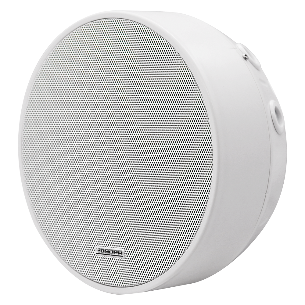 DSPPA DSP5311W Parlante de cielo de 6.5"