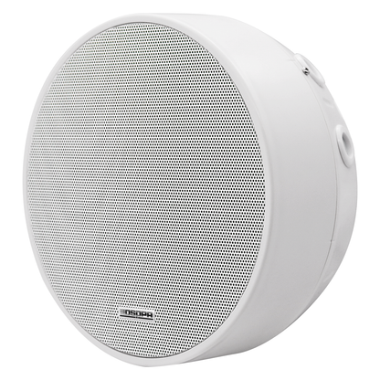 DSPPA DSP5311W Parlante de cielo de 6.5"