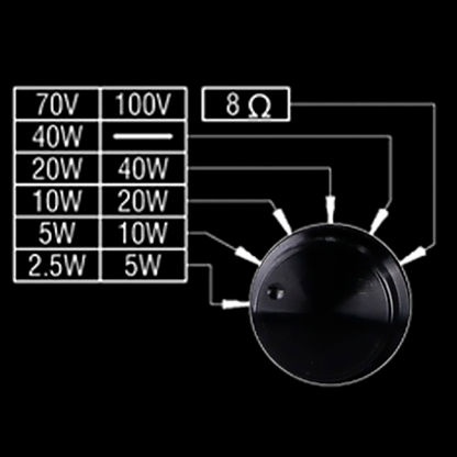 DSPPA DSP8064B Par Parlante de muro de 6.5"