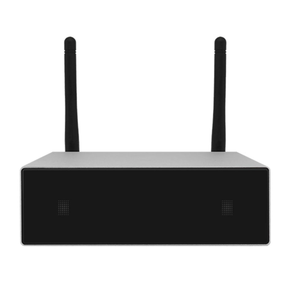 DSPPA DW0250 Amplificador de Streaming
