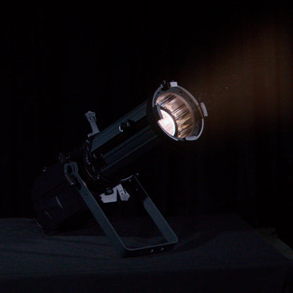 Eastman Elipsoidal Led 300W