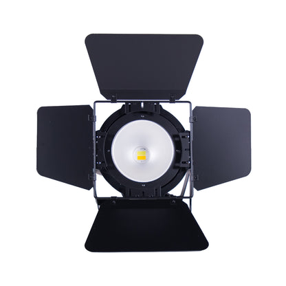Eastman iGNITE-2 Par LED 200W
