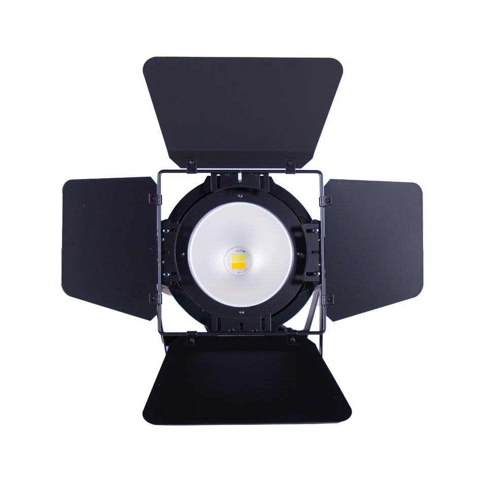 Eastman iGNITE-2 Par LED 2x100W