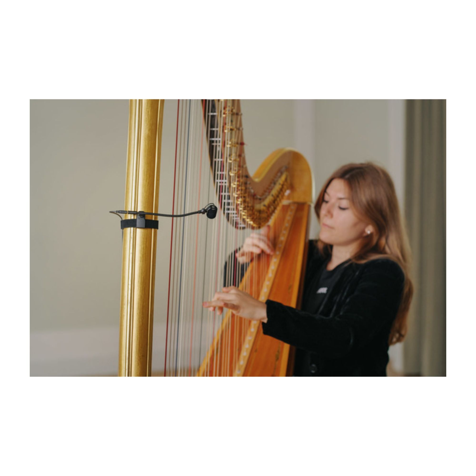 Neumann MC5 Clip para Microfono Cierre con Velcro