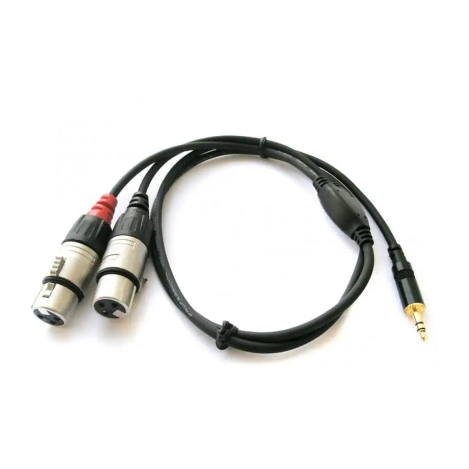 Rean NRA 0140-009 Cable 2 XLR/F-Mini Plug Stereo 0.9 mt