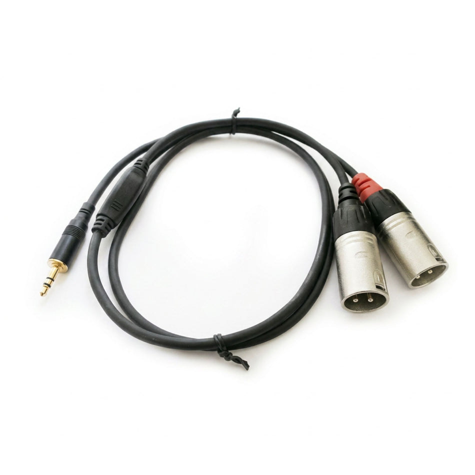 Rean NRA-140-0130-009 Cable 2 XLR/M-Mini Plug Stereo 0.9 mt