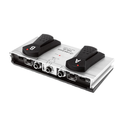 Alctron Pedal Teclado Sustain / Momentary