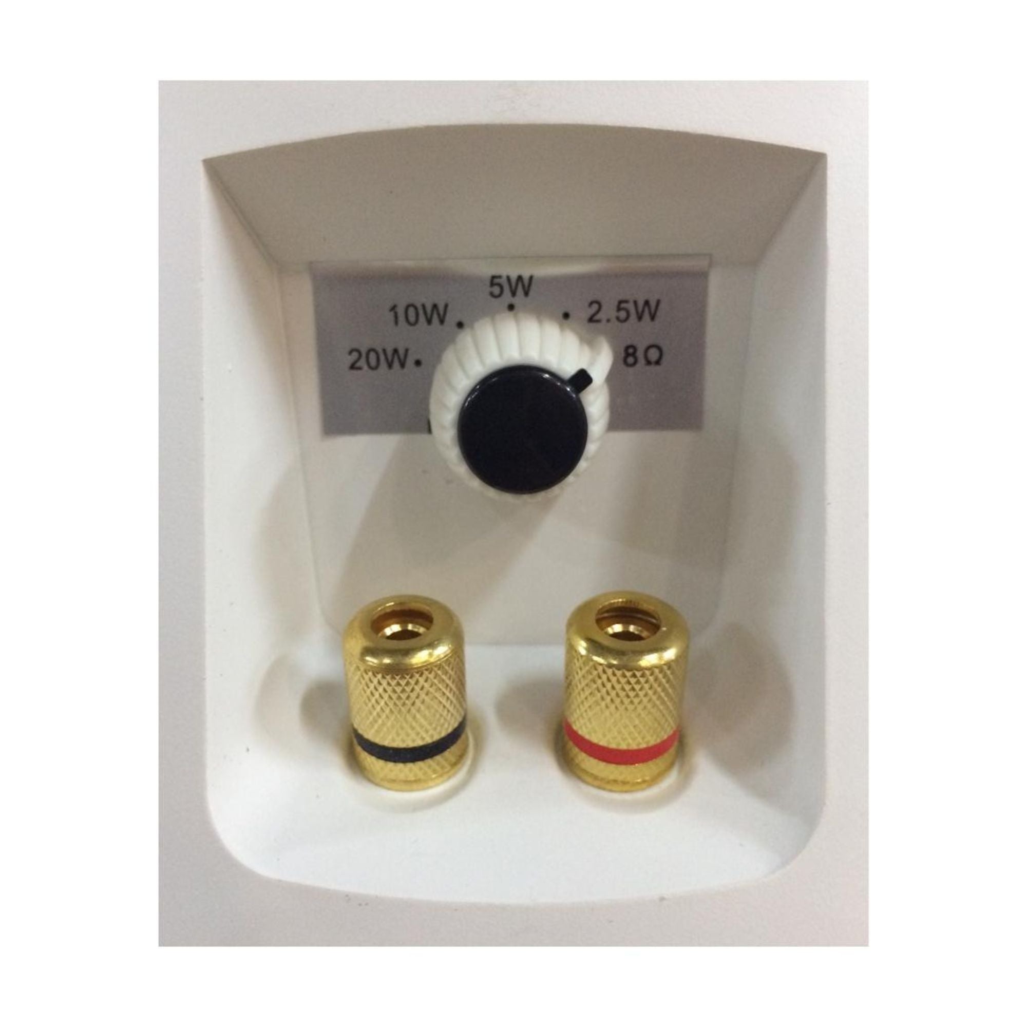 Accuracy Pro Audio Parlante Instalación 4" 20W