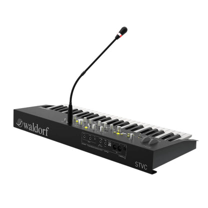 Waldorf STVC Sintetizador de cuerdas con Vocoder 49 Teclas