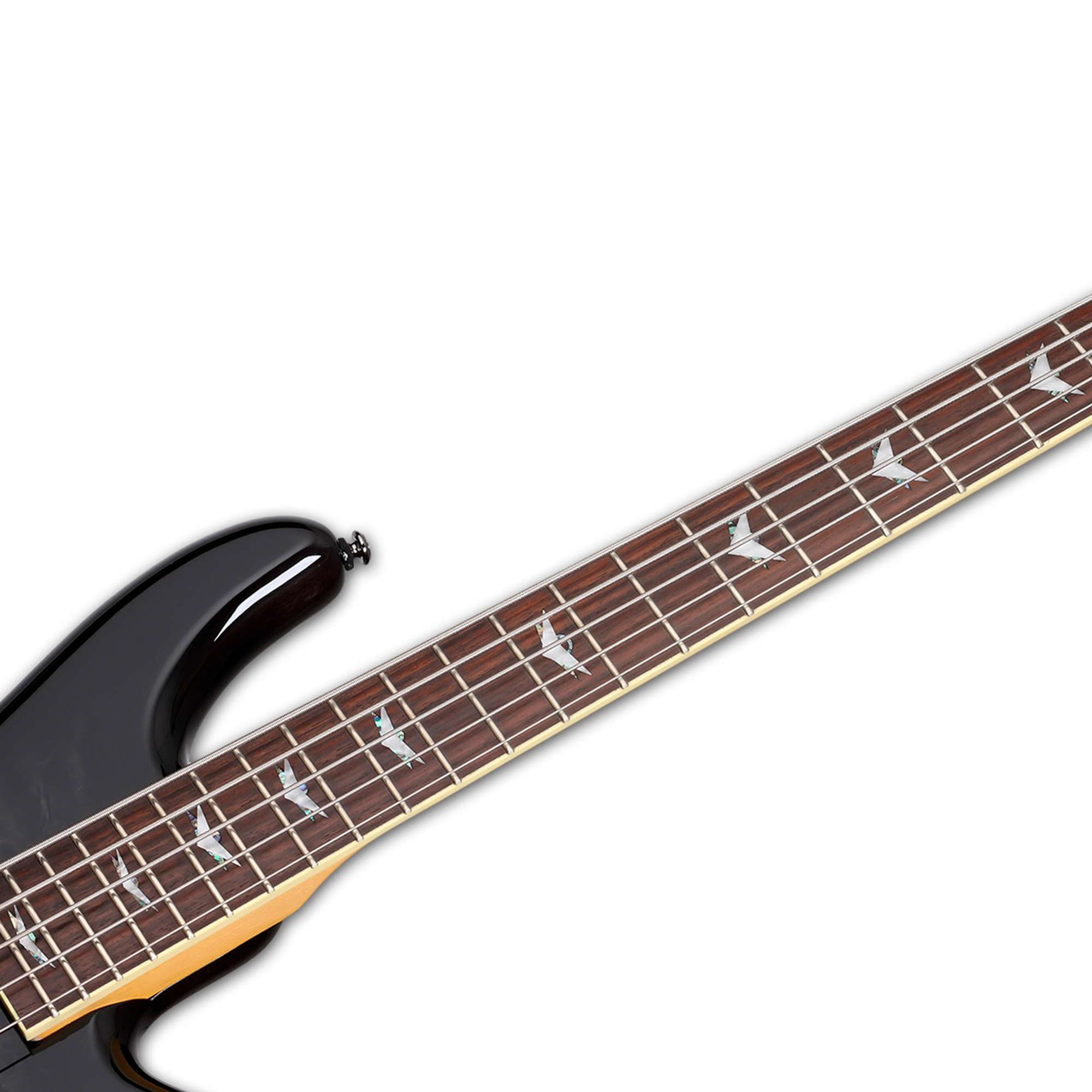 Schecter Stiletto Extreme-5 See-Thru Black Bajo Eléctrico 5 cuerdas