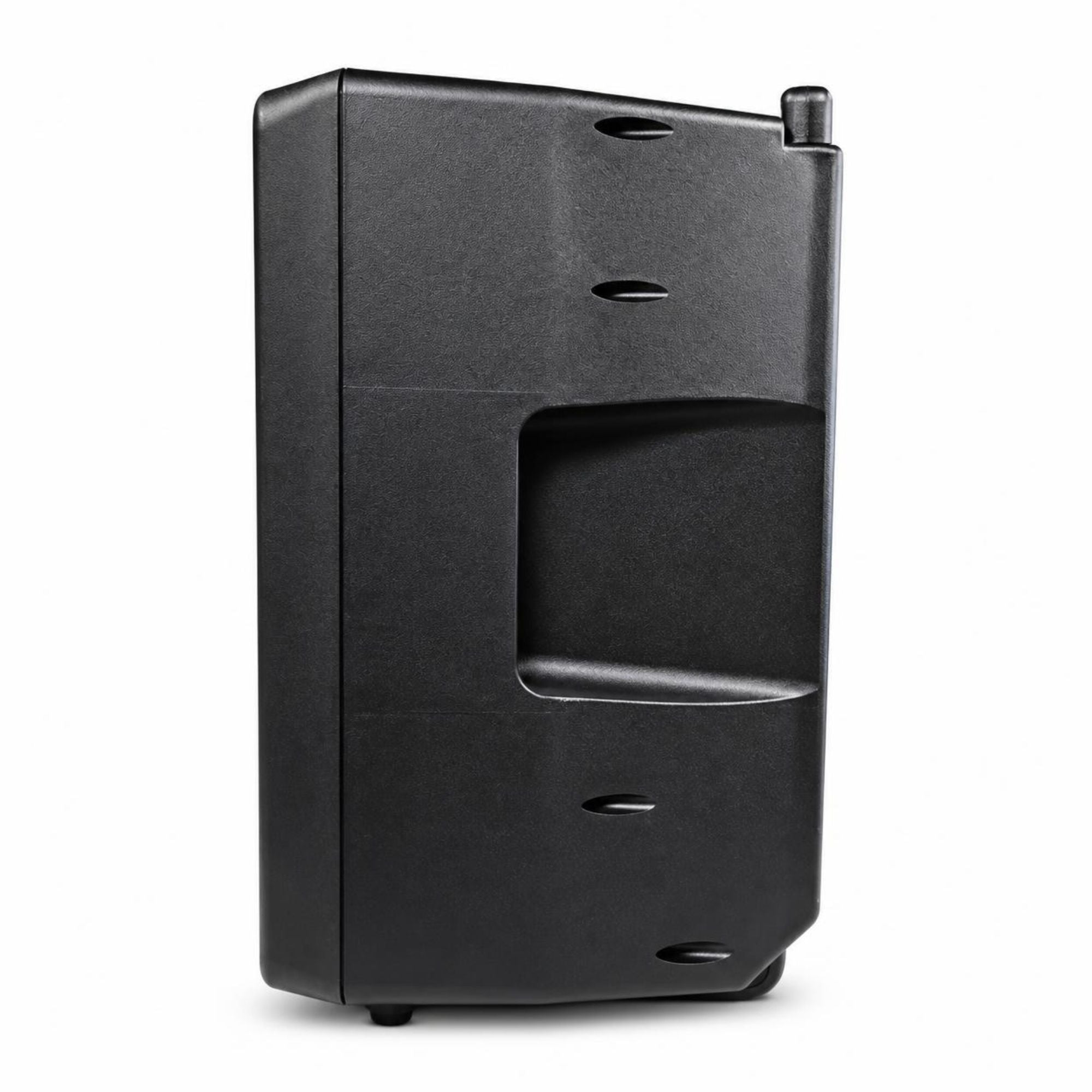Show WD-200 V2 Sistema PA con 2 Micrófonos UHF